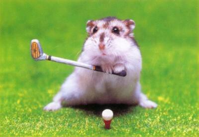 golfista