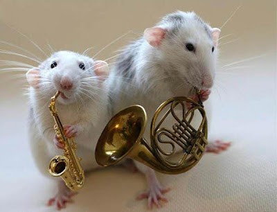 la mini banda