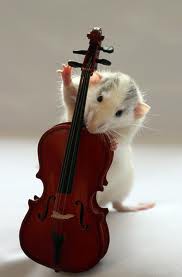 el mini violonchelista