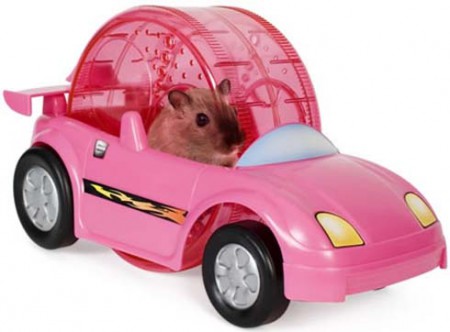 me voy a paseo 