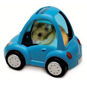 yo mando aqui y no me voy a paseo